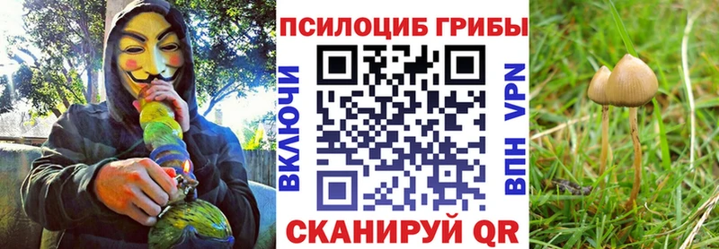 Галлюциногенные грибы MAGIC MUSHROOMS  Нахабино 